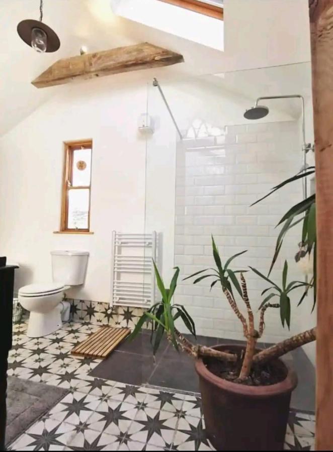 The Carton Store Loft Apt Διαμέρισμα Κορκ Εξωτερικό φωτογραφία